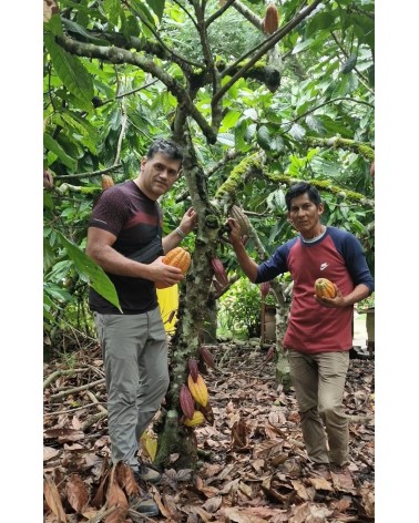 Organic Ceremonial Grade Cacao, 250g From The Ashaninka, Nomatsigenga and Farmers, located in the Central Rainforest of Peru.